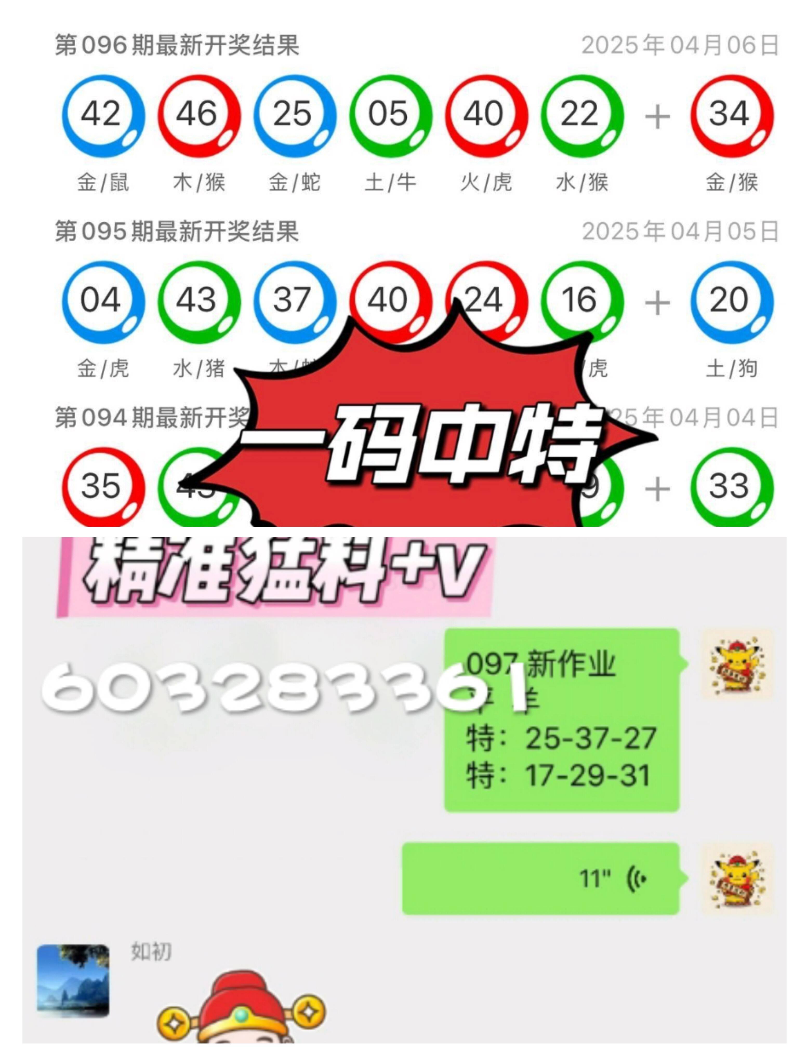 探索未來，2025新澳門九肖展望，2025新澳門九肖展望，探索未來之路