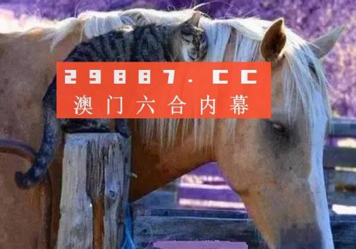澳門一肖一碼一待一中四不像，探索與解析，澳門一肖一碼一待一中四不像，深度解析與探索