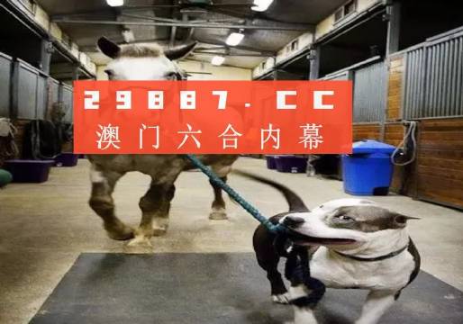 澳門一肖一碼一必中一肖，同舟前進(jìn)的奧秘與策略，澳門一肖一碼必中策略與前進(jìn)奧秘，同舟共濟(jì)的揭秘與策略