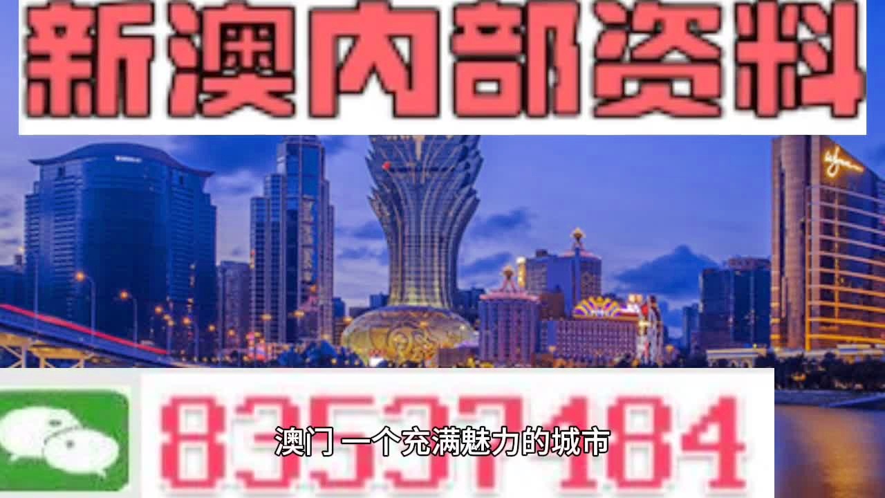 探索新澳門，走進13577.com的精彩世界，探索新澳門，揭秘精彩世界，走進13577.com