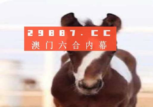澳門一肖一碼狀元紅，揭秘彩票背后的秘密與策略，澳門彩票揭秘，狀元紅背后的秘密與策略解析