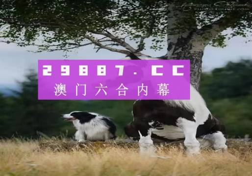 澳門天天空彩官網(wǎng)資料，探索彩票世界的門戶，澳門天天空彩官網(wǎng)資料，彩票世界探索門戶