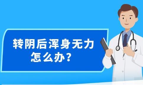 2025新奧正版資料與精準(zhǔn)資料的免費(fèi)提供，2025新奧正版資料與精準(zhǔn)資料免費(fèi)分享