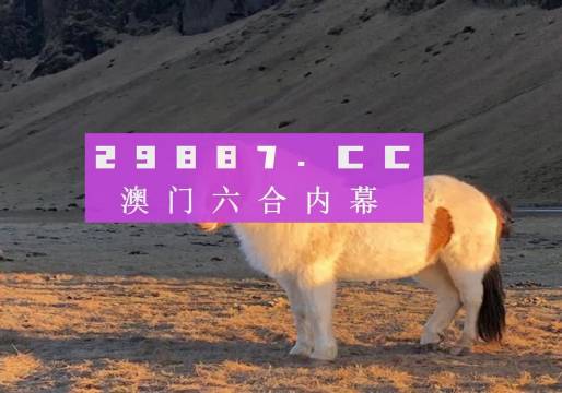 澳門天天彩資料正版免費(fèi)特色快8，探索彩票世界的魅力與機(jī)遇，澳門天天彩正版特色快8，彩票世界的魅力與機(jī)遇探索