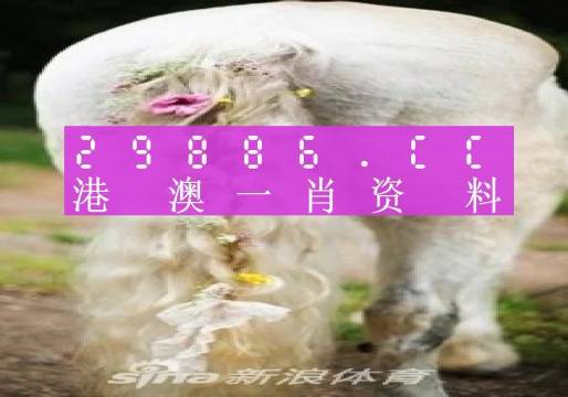 推薦 第48頁(yè)