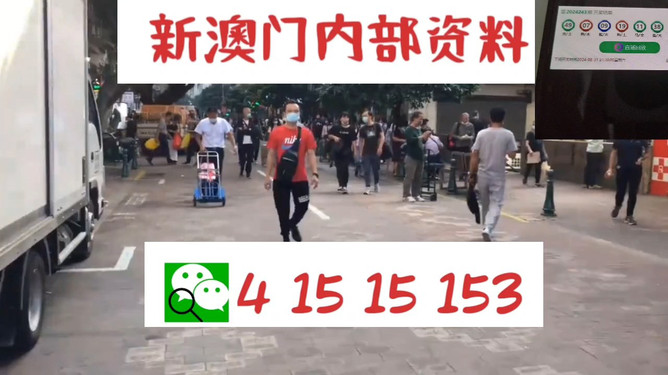 澳門管家婆，揭秘一種獨(dú)特的文化現(xiàn)象與娛樂(lè)體驗(yàn)，澳門管家婆，文化現(xiàn)象與娛樂(lè)體驗(yàn)的揭秘