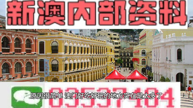 澳門精準(zhǔn)資料大全免費(fèi)，探索與解析，澳門精準(zhǔn)資料大全免費(fèi)解析探索