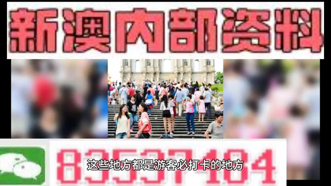 新澳天天開獎資料大全旅游團——探索澳門的魅力之旅，澳門魅力探索之旅，新澳天天開獎資料大全旅游團