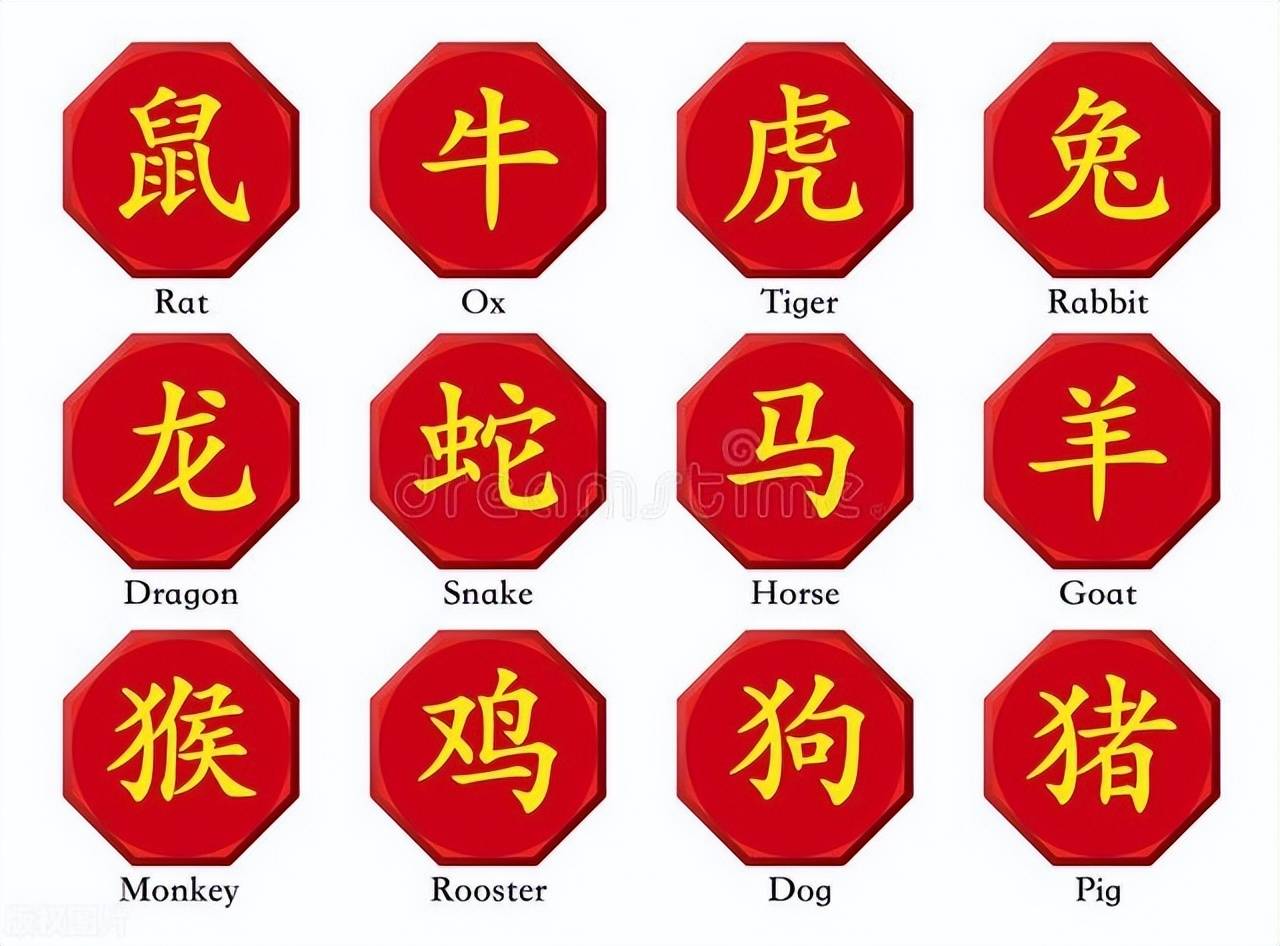 新澳特碼，羊?；⒏鲾?shù)10——揭秘背后的數(shù)字奧秘，揭秘新澳特碼數(shù)字奧秘，羊?；⒏鲾?shù)背后的秘密