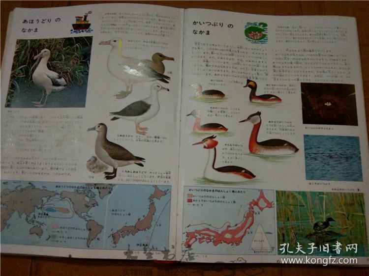 今日正版跑狗圖分享，探索7777788888跑狗圖的魅力，今日正版跑狗圖分享，探索魅力十足的777778跑狗圖