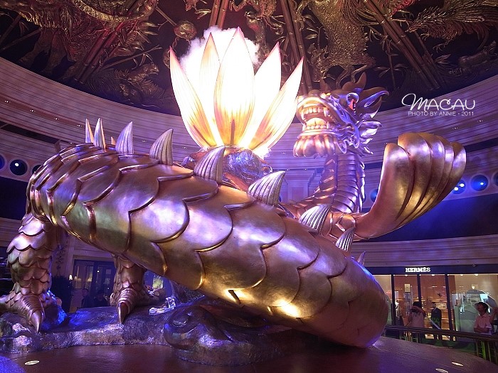 澳門無錯(cuò)七尾，探索與解析，澳門無錯(cuò)七尾，深度探索與解析