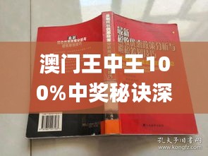 新澳門王中王期期中，探索與解析，新澳門王中王期期中，深度探索與解析