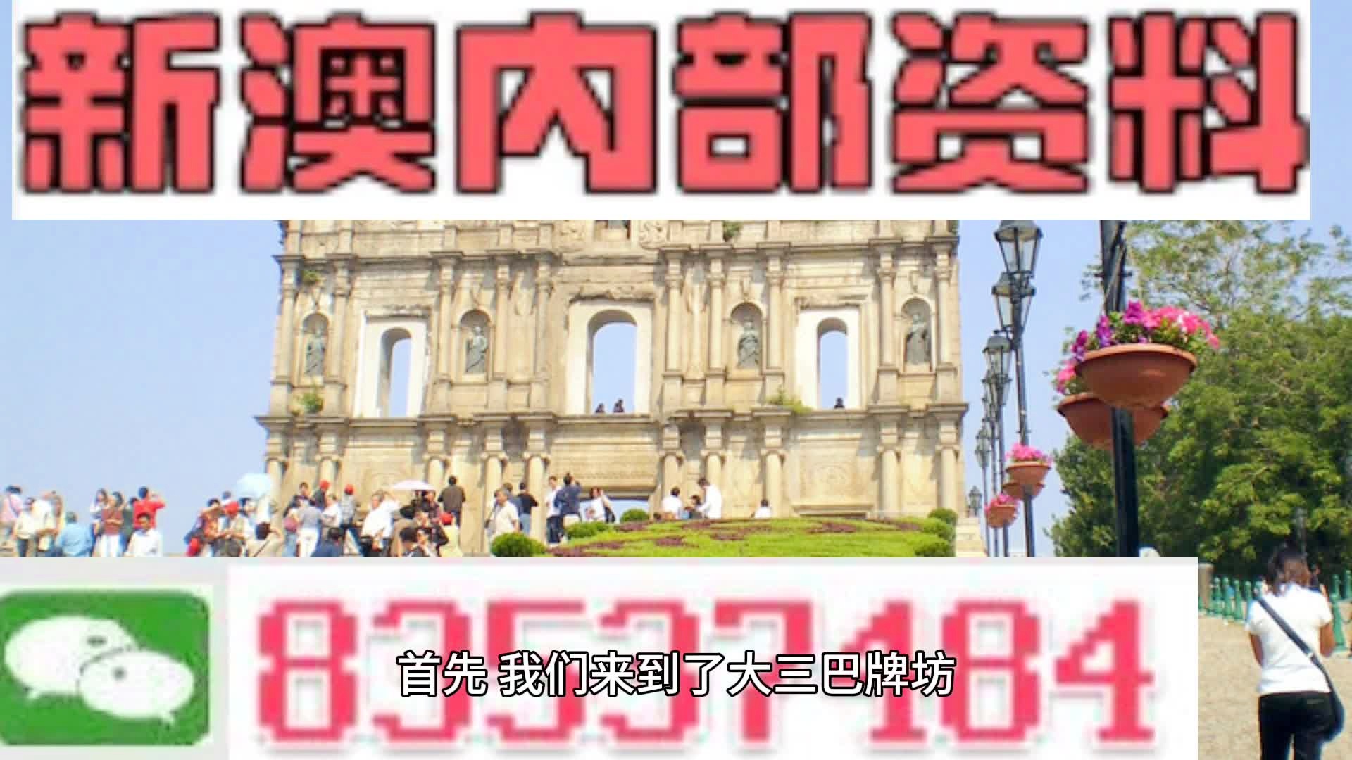 新澳持碼會(huì)資料詳解，新澳持碼會(huì)資料全面解析