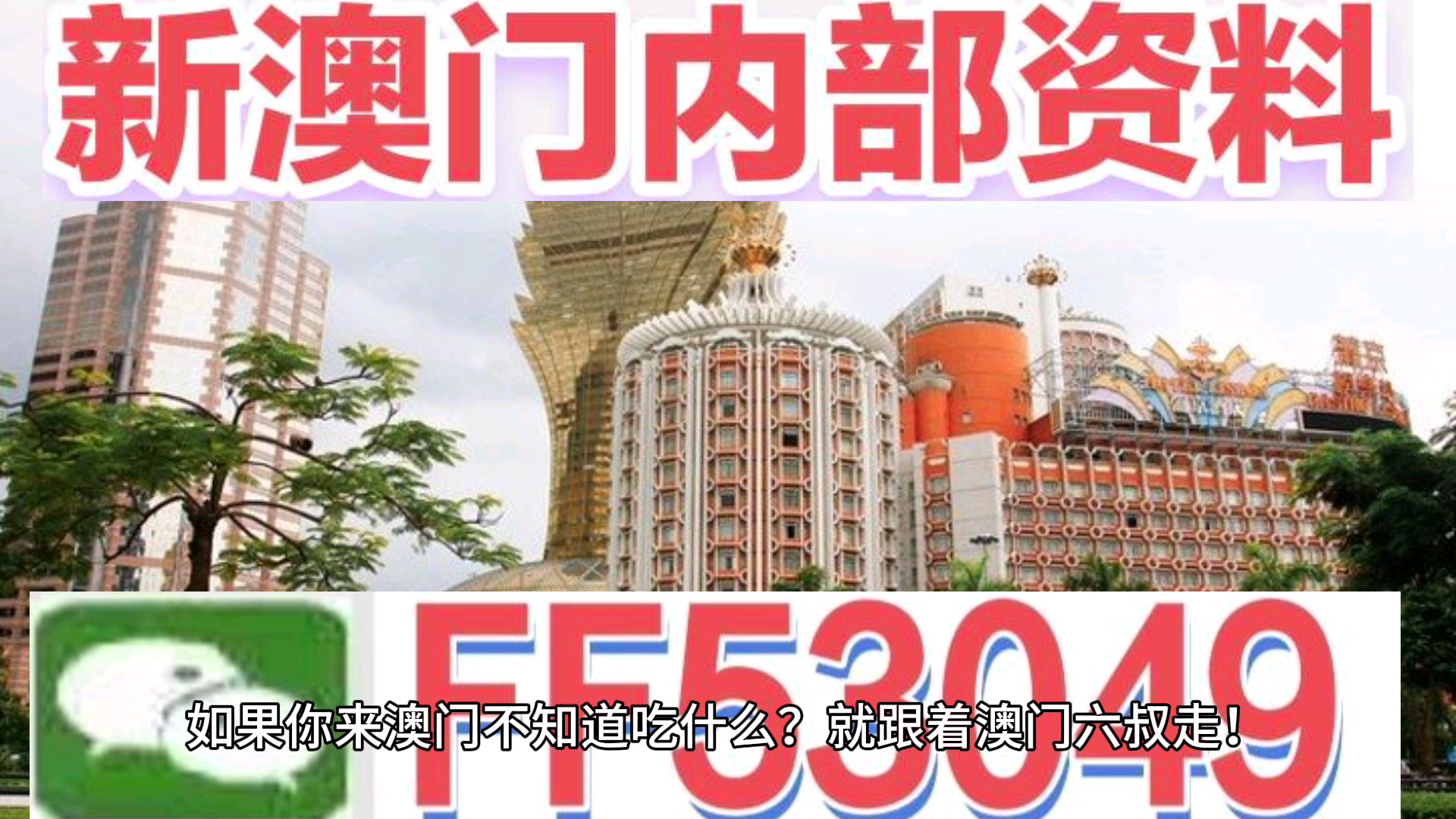 澳門今晚特馬生肖預(yù)測，探尋未來的幸運符號（2025年），澳門生肖預(yù)測揭秘，探尋未來幸運符號（特馬生肖預(yù)測 2025年展望）