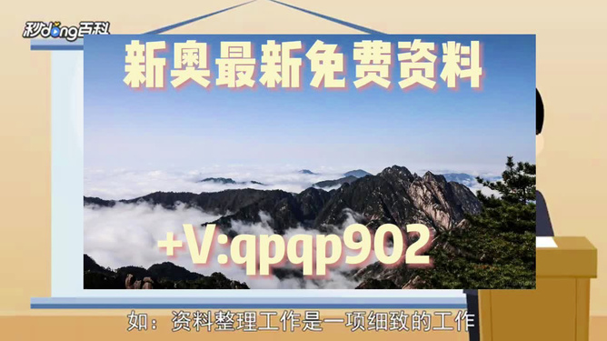 新奧正版資料最新更新 2025年展望，新奧正版資料最新更新，展望2025年