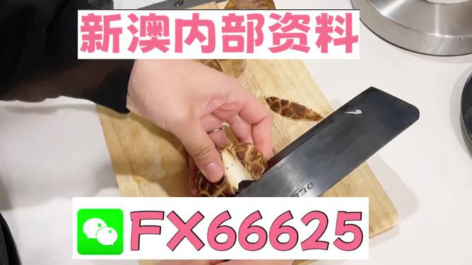 澳門九點半9點半網(wǎng)站——探索其魅力與優(yōu)勢，澳門九點半網(wǎng)站，魅力與優(yōu)勢探索