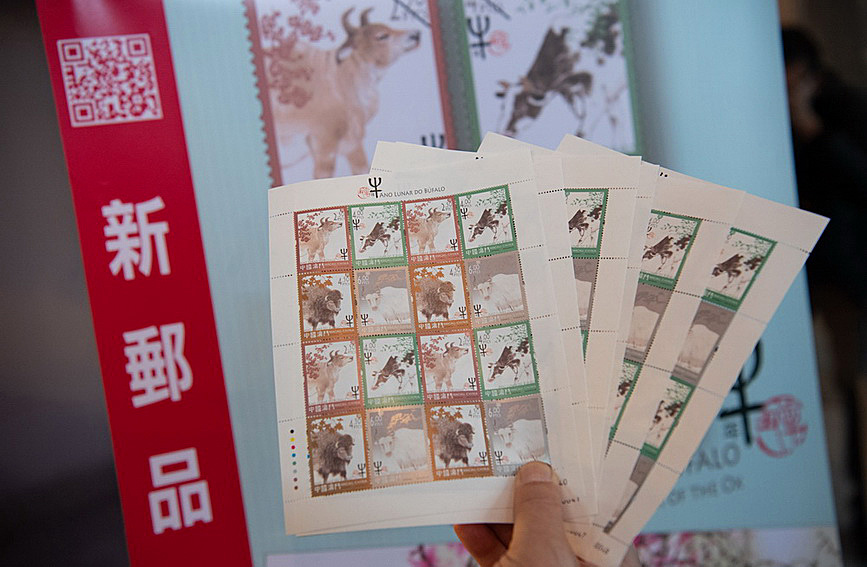 澳門值日生肖600圖庫與八百圖庫開獎(jiǎng)，探索生肖圖庫的魅力與奧秘，澳門生肖圖庫開獎(jiǎng)揭秘，探索值日生肖600圖庫與八百圖庫的魅力與奧秘