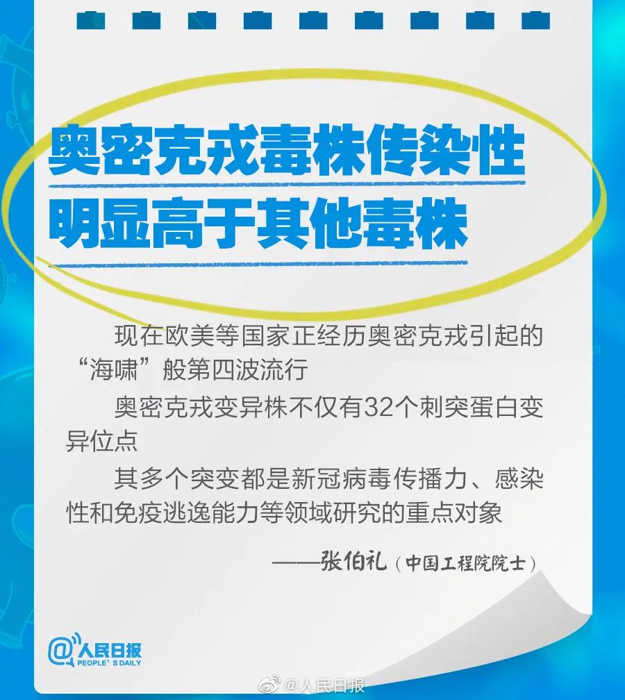新奧2025最新資料大全，準(zhǔn)確資料全面解析，新奧2025最新資料大全，全面解析準(zhǔn)確資料一網(wǎng)打盡