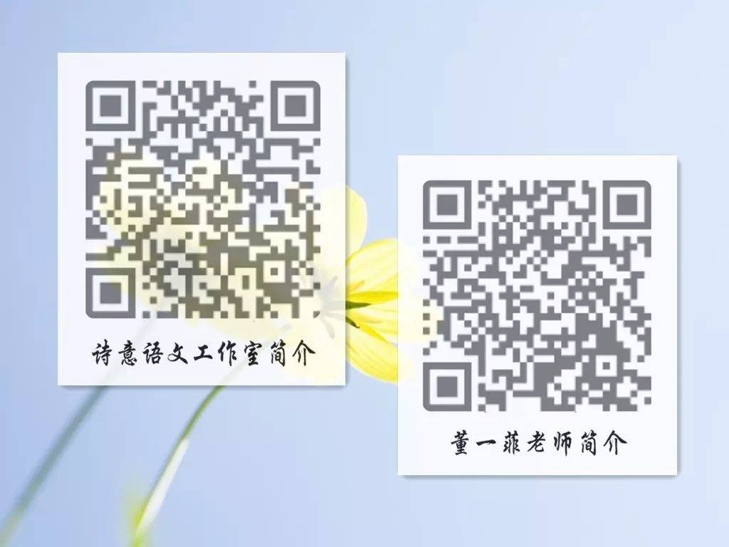 一碼一肖一特一，揭秘背后的秘密與獨特之處，揭秘一碼一肖一特一的獨特之處與背后秘密
