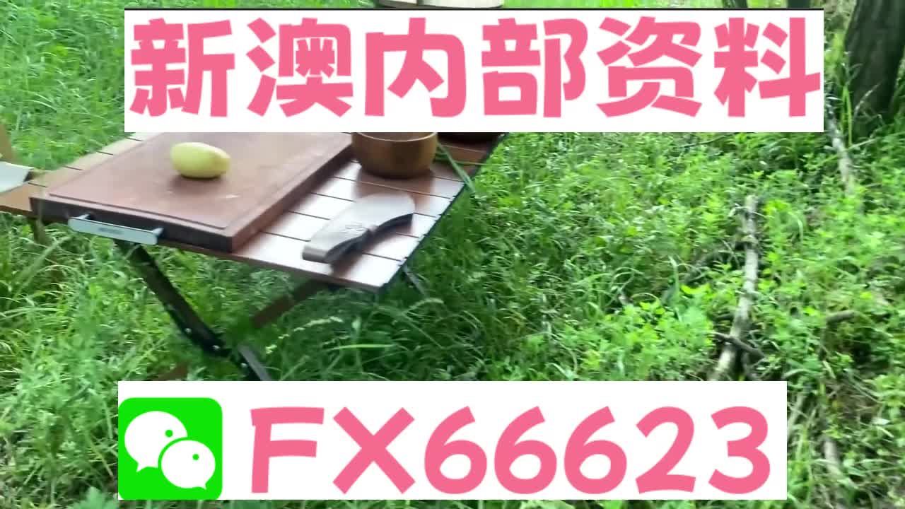新奧特碼走勢圖解析與預(yù)測，新奧特碼走勢圖解析與預(yù)測，未來趨勢探討