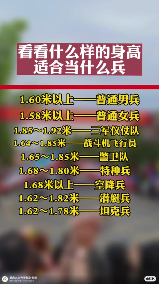 儀仗兵身高標(biāo)準(zhǔn)，探究與解析，儀仗兵身高標(biāo)準(zhǔn)，探究與詳解