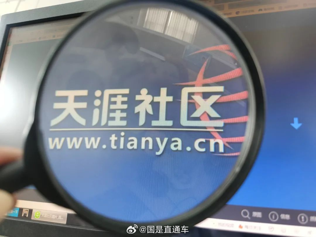 天涯國際觀察，全球視野下的深度分析與洞察，全球深度洞察，天涯國際觀察分析