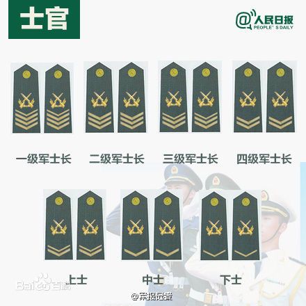 全球各國軍士長(zhǎng)軍銜對(duì)照表及其重要性，全球各國軍士長(zhǎng)軍銜對(duì)照表，揭示其重要性