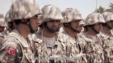 軍情歡察室2022最新一期，深度解析全球軍事動態(tài)，全球軍事動態(tài)深度解析，軍情觀察室2022最新一期揭秘