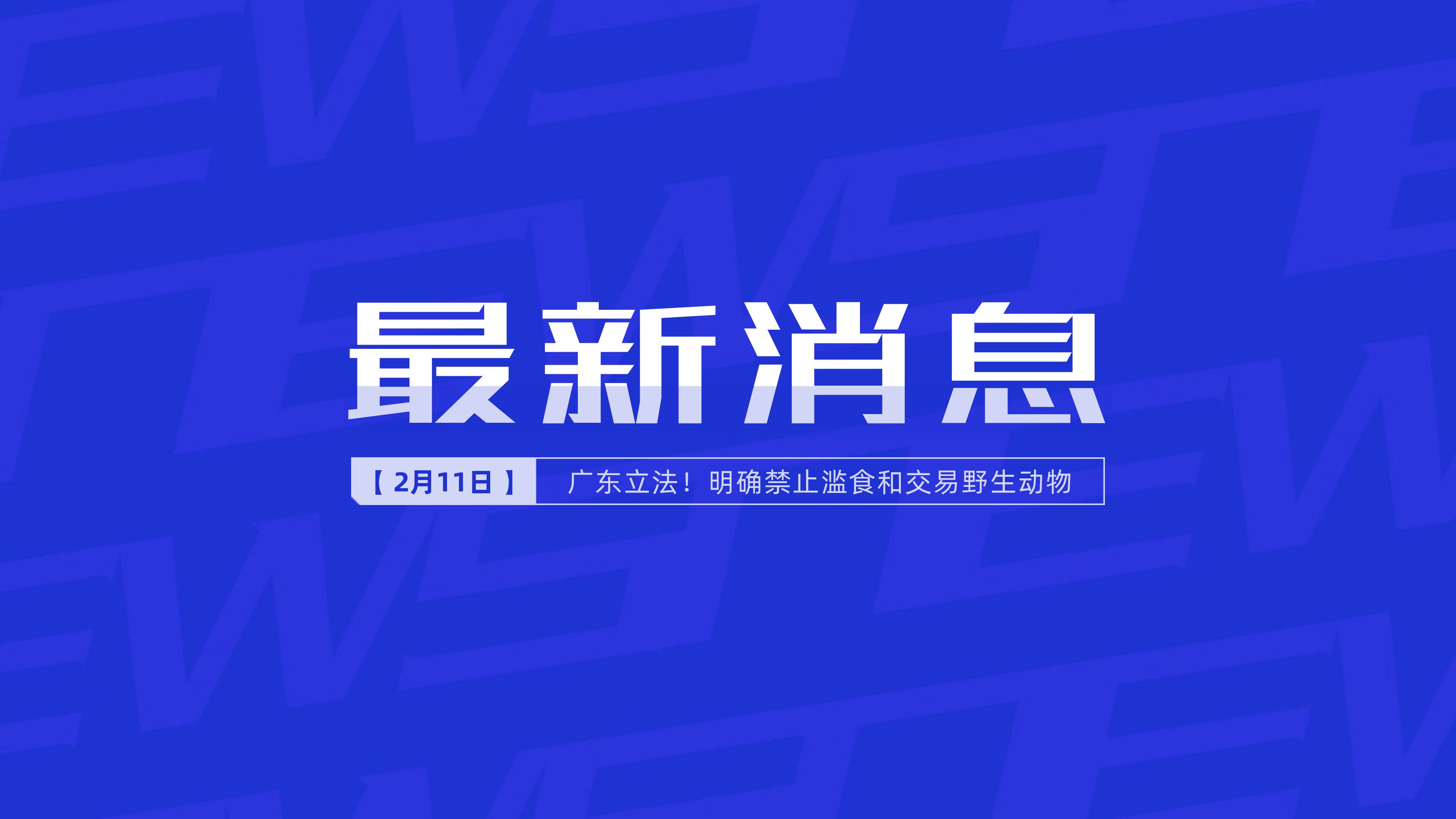 新聞最新新聞，掌握時(shí)事熱點(diǎn)，洞悉世界動(dòng)態(tài)，時(shí)事熱點(diǎn)速遞，掌握全球最新動(dòng)態(tài)新聞