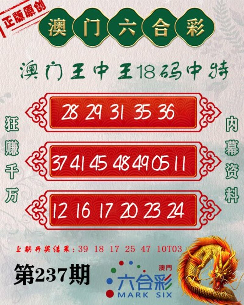 新澳門王中王期期中，探索與解析，新澳門王中王期期中，深度探索與解析