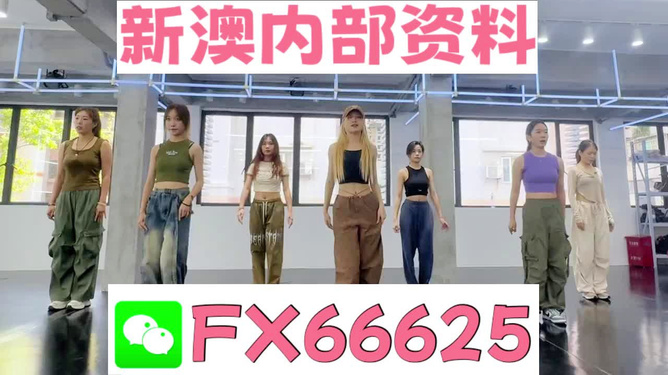 新澳持碼會(huì)資料詳解，新澳持碼會(huì)資料全面解析