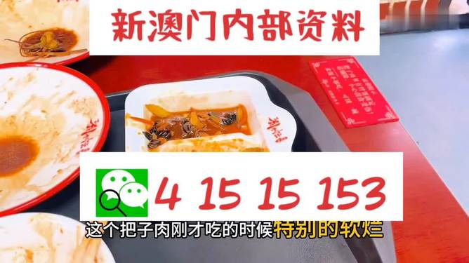澳門王中王六碼新澳門，探索與解析，澳門王中王六碼新澳門，深度探索與解析
