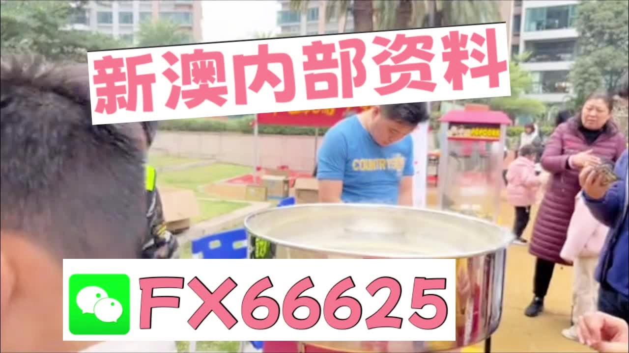 澳門乾坤寶典與最新資料大全，探索未來的奧秘（2025新澳資料大全），澳門乾坤寶典與最新資料大全，探索未來奧秘（2025新澳資訊總匯）