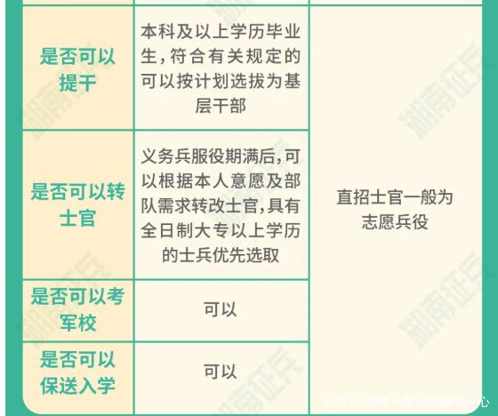 士官直招與義務兵的區(qū)別，深入了解軍隊招募制度，直招士官與義務兵招募制度深度解析，軍隊招募制度詳解