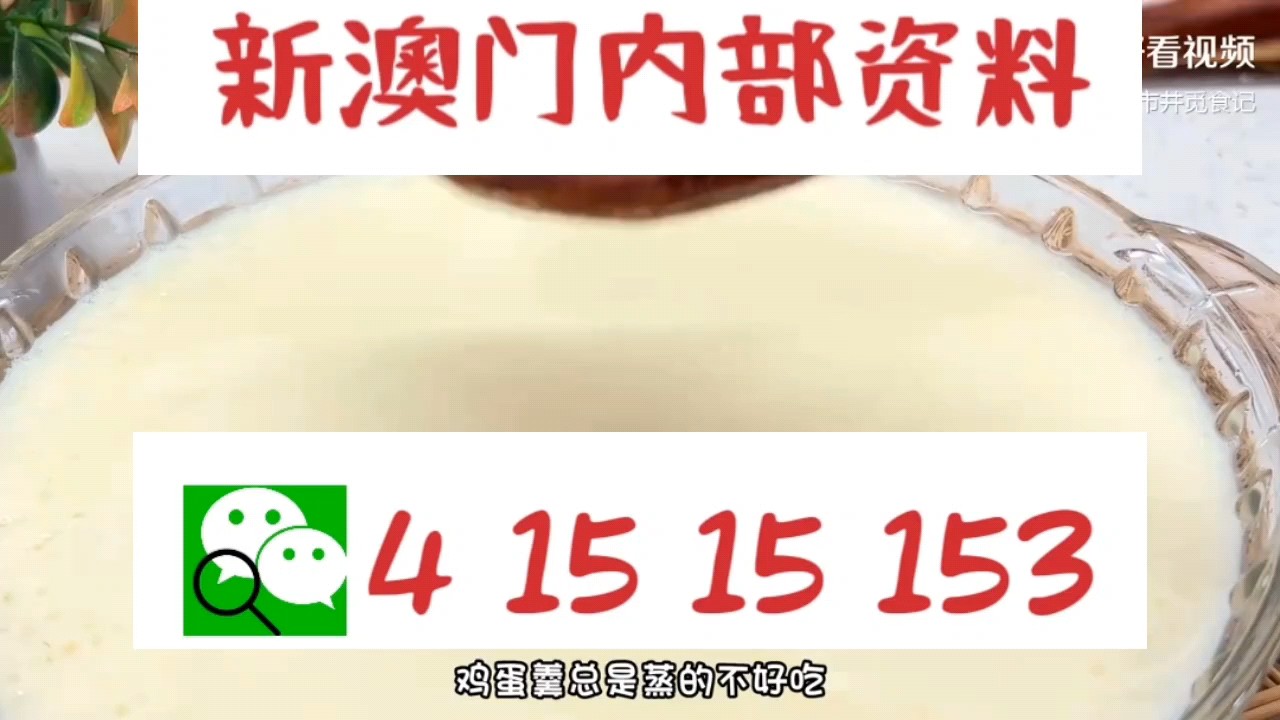 新澳門中特網(wǎng)中特馬，探索與解析，澳門中特馬探索與解析指南