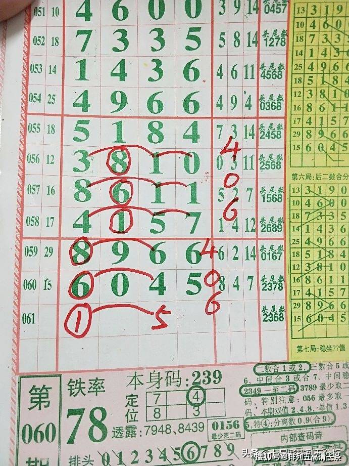 平特肖推算法，探索搜索引擎優(yōu)化的新境界，平特肖推算法，開啟搜索引擎優(yōu)化新境界的探索之旅