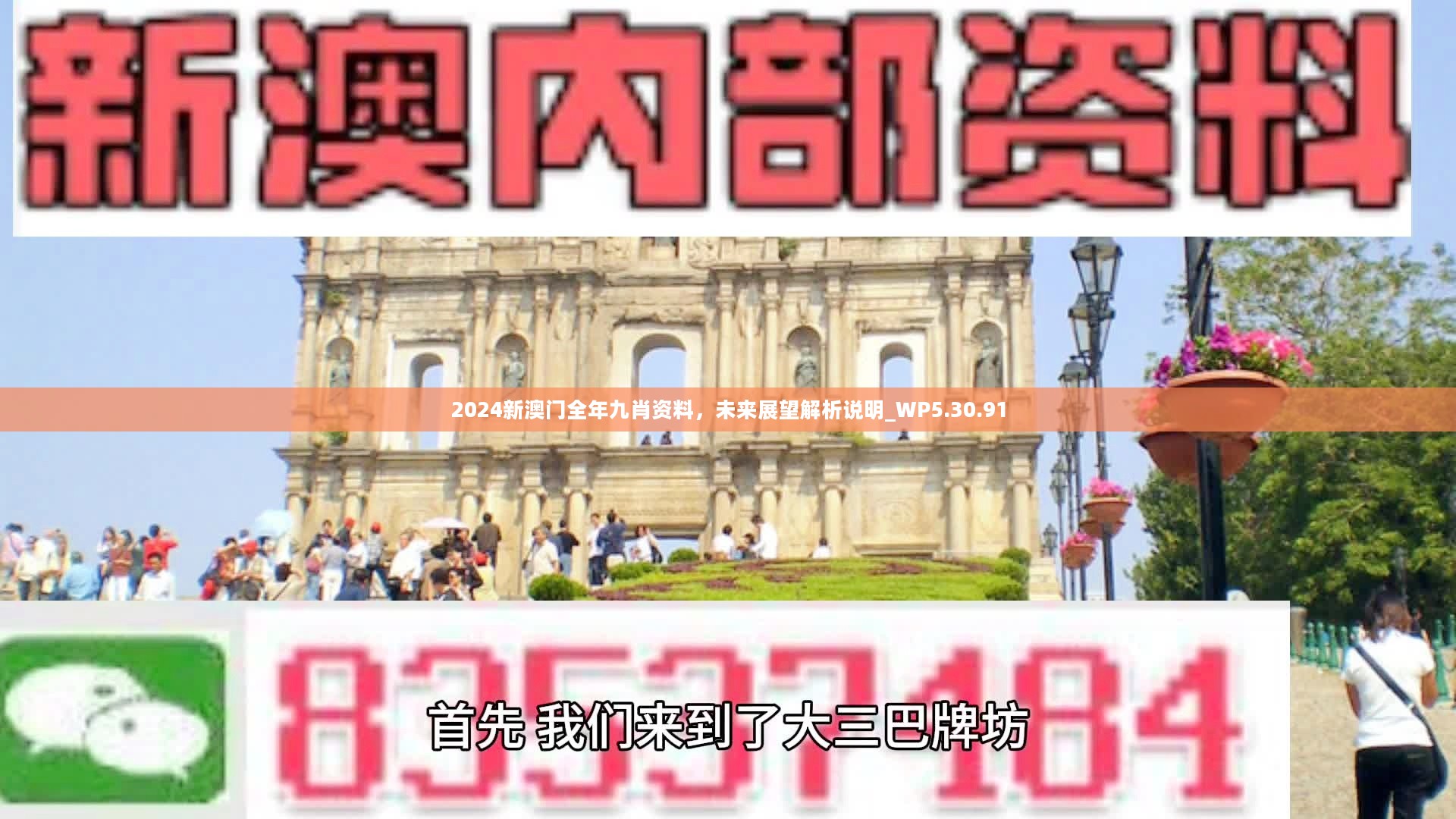 新澳門精準九肖，揭秘預(yù)測技巧與策略，揭秘新澳門精準九肖預(yù)測技巧與策略