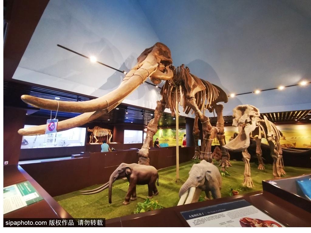 北京必去的十大博物館——探尋千年文化的精華之旅，北京必游十大博物館，千年文化精華之旅探尋記