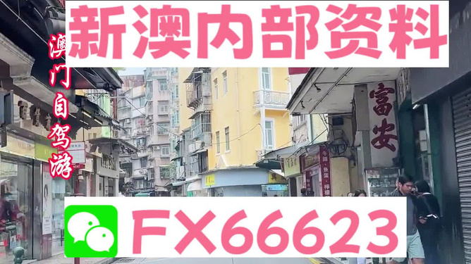 新澳精準(zhǔn)資料免費(fèi)提供，探索與解析，新澳精準(zhǔn)資料解析與探索，免費(fèi)提供的深度解讀