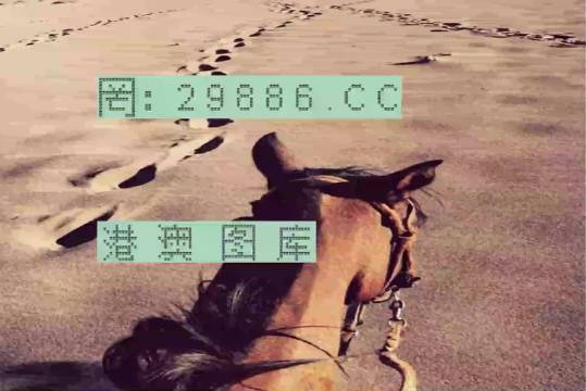香港特馬資料王中王24期，深度解析與探索，香港特馬資料王中王深度解析與探索，第24期探索之旅