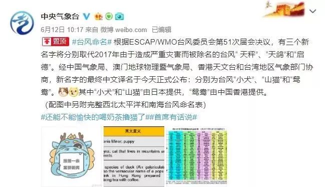 新澳門必中三肖三碼三期必開劉伯，揭秘彩票背后的秘密與策略，揭秘彩票背后的秘密與策略，劉伯的新澳門三期必開三肖三碼預(yù)測(cè)技巧