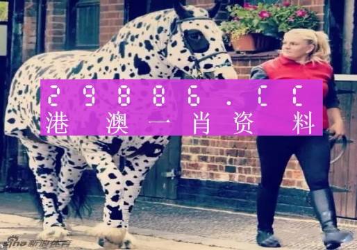 香港網(wǎng)址王中王一肖中特，探索與解析，香港網(wǎng)址王中王一肖中特，深度探索與解析