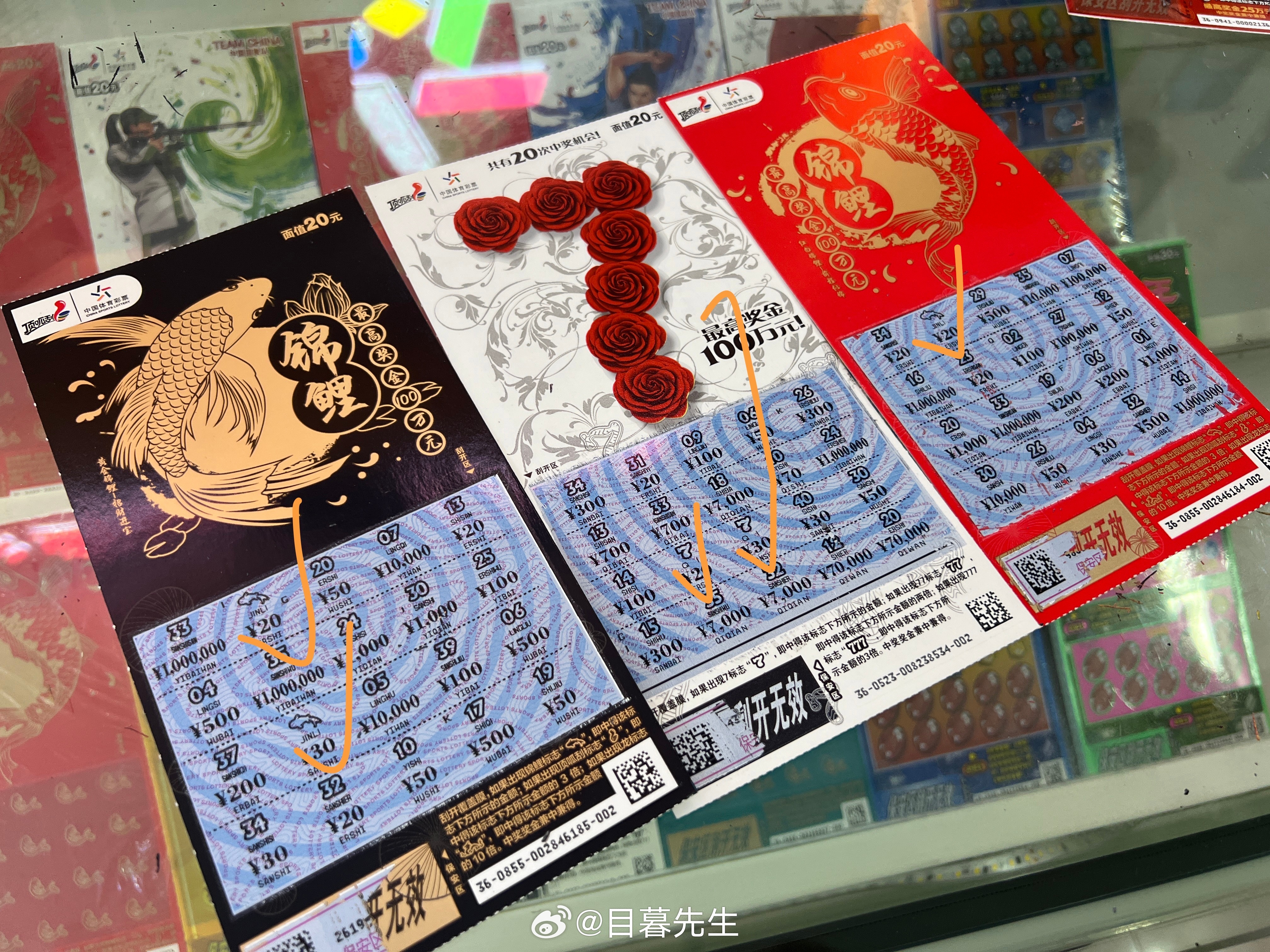 全年王中王一肖中特，深度解析與預(yù)測，全年王中王一肖深度解析與預(yù)測，揭秘特肖趨勢