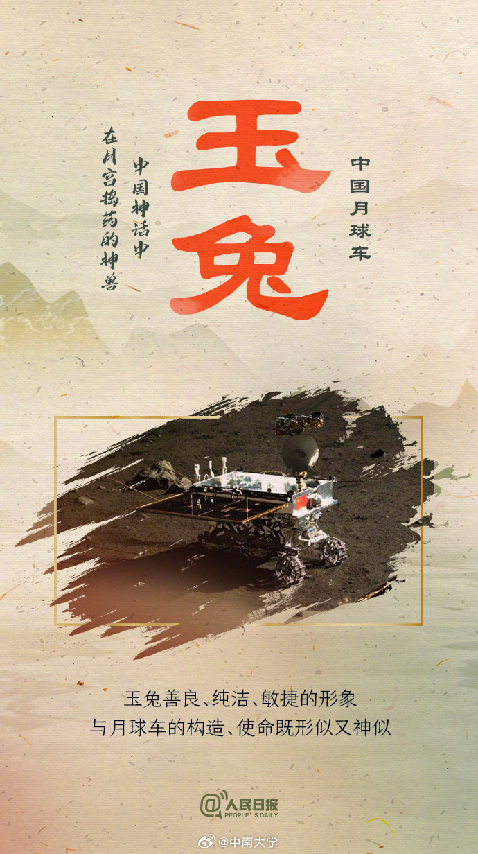 揭秘王中王平特一肖免會公開的奧秘，王中王平特一肖免公開揭秘奧秘