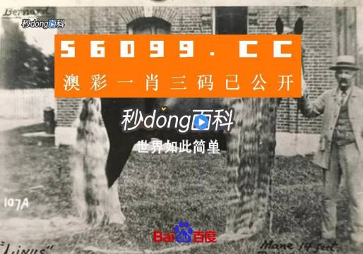 澳門王中王心水王中王，探索與解析，澳門王中王心水奧秘，深度探索與解析