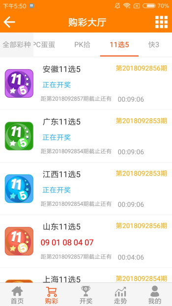 王中王黃金一肖二碼資料，深度解析與SEO優(yōu)化，王中王黃金一肖二碼資料深度解析與SEO優(yōu)化技巧