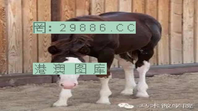 揭秘446999一肖中特馬之秘密，掌握中獎玄機(jī)！，揭秘特馬中獎玄機(jī)，446999一肖中的秘密大揭秘！