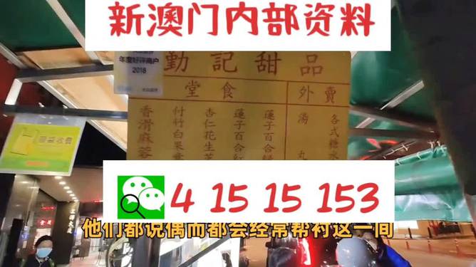 新澳門單雙肖期期，探索與解析，澳門單雙肖期期探索與解析指南