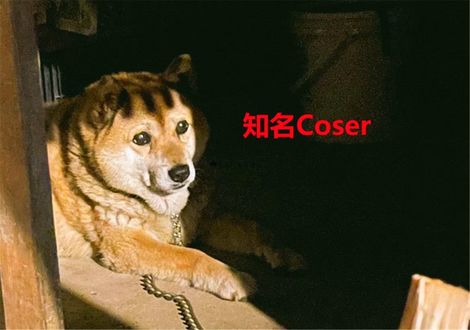 豬狗同行王中王，猜一肖，深度解析與SEO優(yōu)化，豬狗同行王中王猜謎解析與SEO優(yōu)化技巧，深度解析揭秘生肖之謎