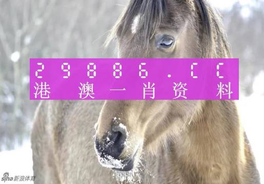 揭秘最準(zhǔn)一肖一碼，探尋神秘的生肖預(yù)測奧秘，揭秘生肖預(yù)測真相，最準(zhǔn)一肖一碼探尋記